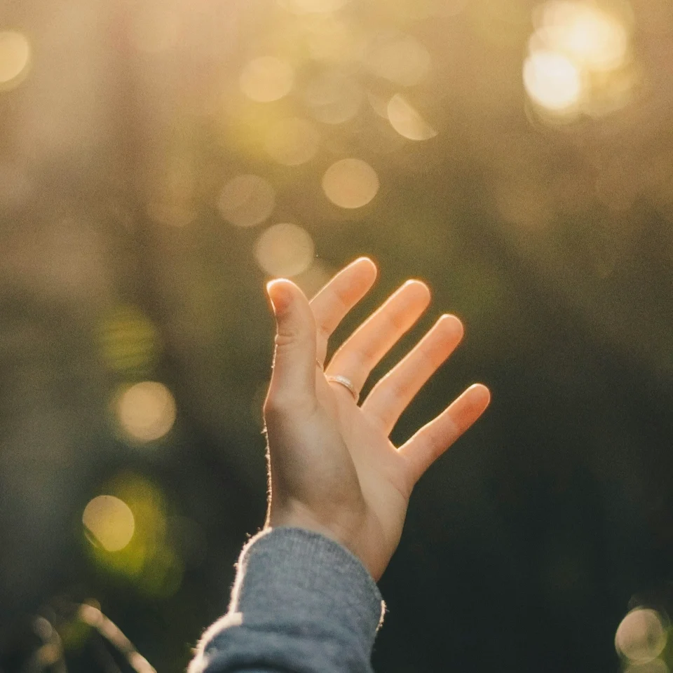 dev-benjamin-voIzq8LEdlo-unsplash