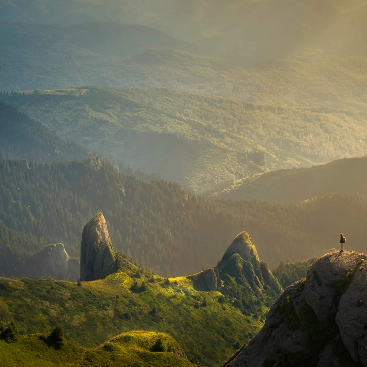 urban-vintage-78A265wPiO4-unsplash